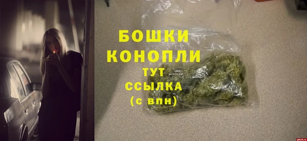 дурь Инсар
