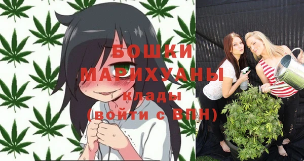 дурь Инсар