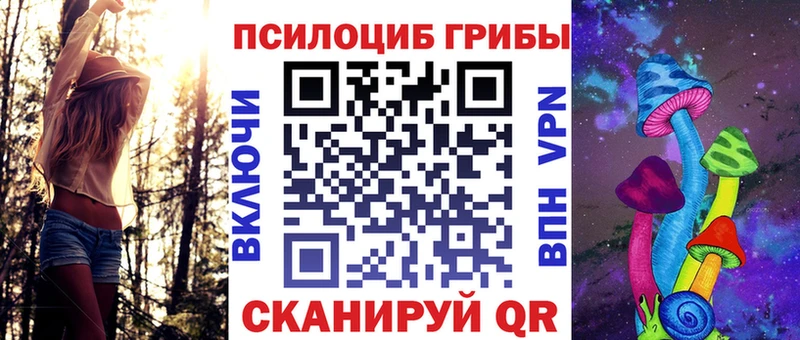Псилоцибиновые грибы Cubensis  Купить  Дивногорск 